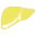 肝膽專科